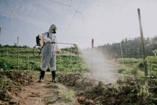 Best Best Pest Control Companies  in Rutherford, PA