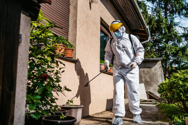 Best Flea Control Services  in Rutherford, PA
