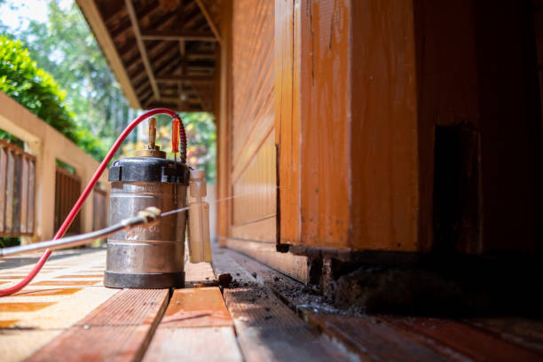 Best Termite Control Services  in Rutherford, PA