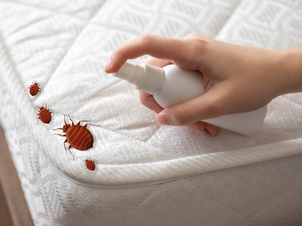 Best Pest Control Near Me  in Rutherford, PA